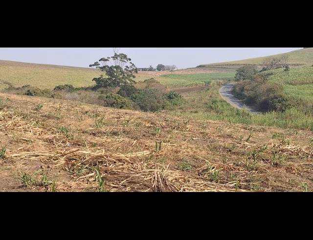 4.83HA FARM FOR SALE IN FRASER